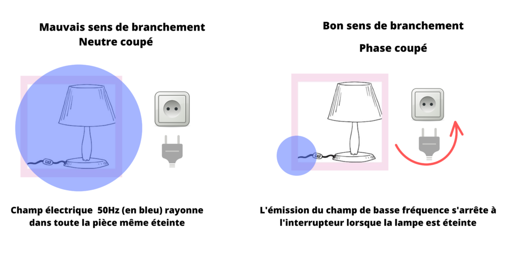 sens de branchement des lampes